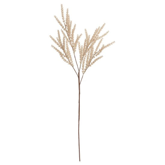 Oat Branch