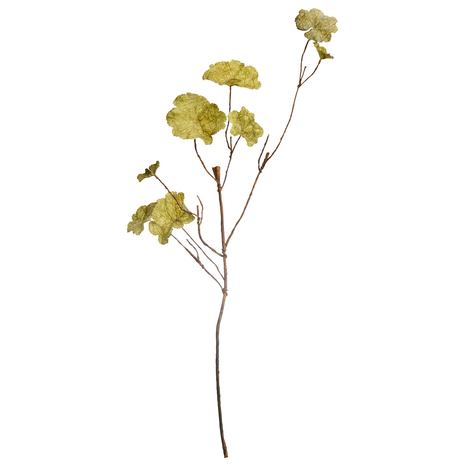 Geranium Branch i forskellige farver fra Bungalow
