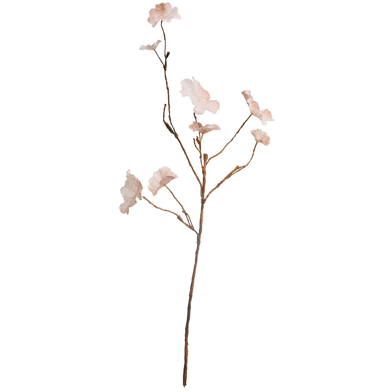 Geranium Branch i forskellige farver fra Bungalow